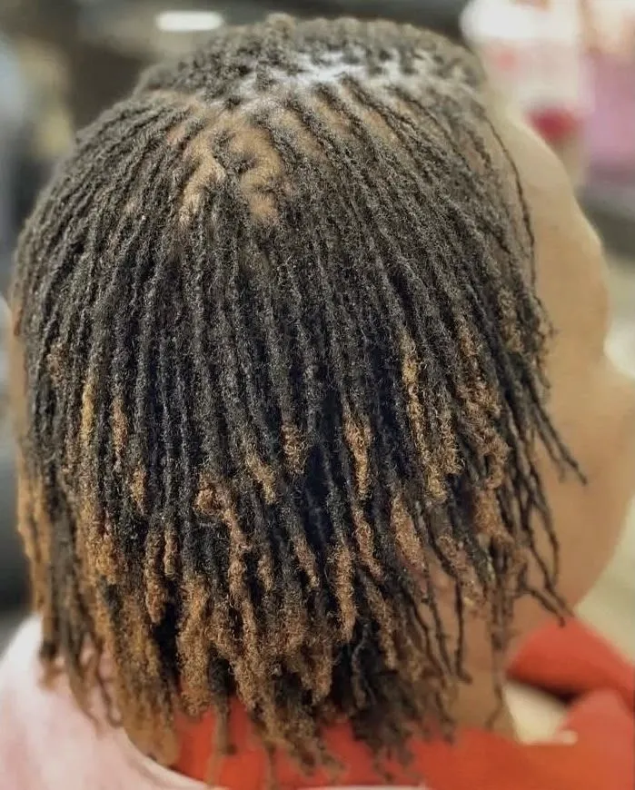 Sisterlocks™ with honey-blonde tips
